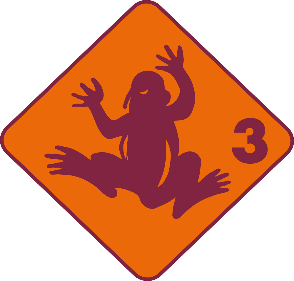Schwimmabzeichen 3 Frosch